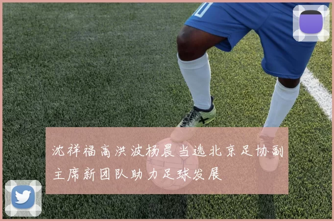 沈祥福高洪波杨晨当选北京足协副主席新团队助力足球发展