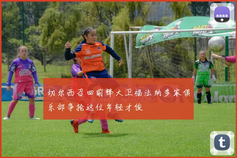 切尔西召回前锋大卫福法纳多家俱乐部争抢这位年轻才俊