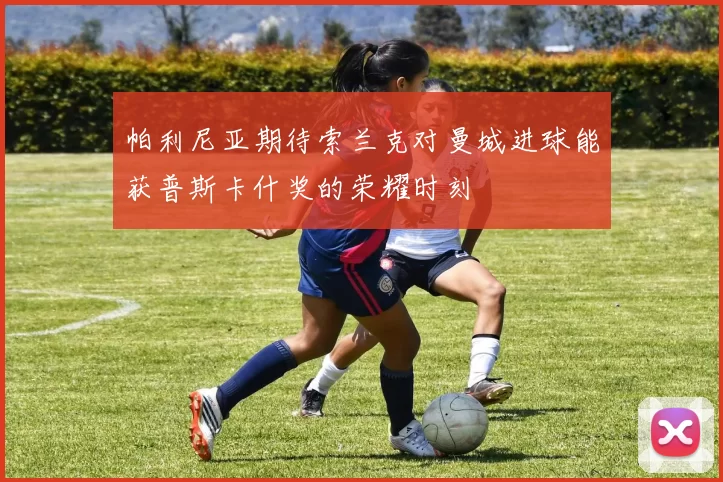 帕利尼亚期待索兰克对曼城进球能获普斯卡什奖的荣耀时刻
