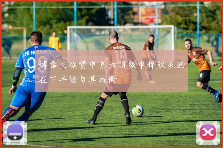 博雷戈称赞申京为顶级中锋仅米西在下半场与其抗衡